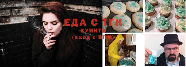 дмт Богородицк