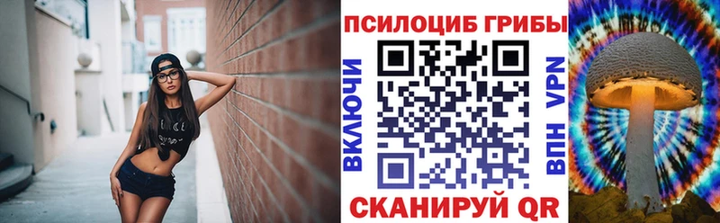 Купить закладки  Полевской  Псилоцибиновые грибы GOLDEN TEACHER 